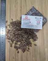 502 PAPAĞAN KİLİT